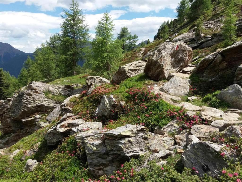 Rudigier Margret Und Franz Appartement Sankt Gallenkirch Buitenkant foto